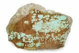 Polished Turquoise Slab - Number Mine, Carlin, NV #245508-1